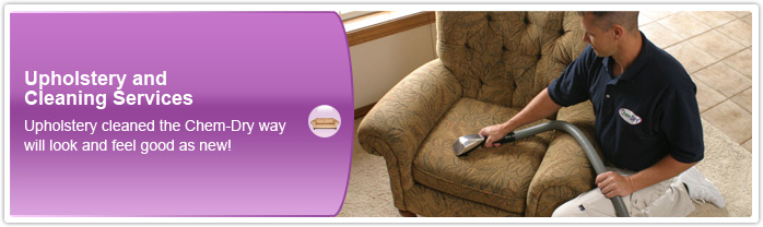 Upholstery cleaning 